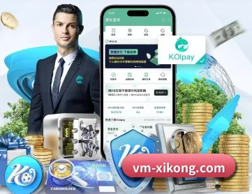 星空娱乐 APP 深度功能